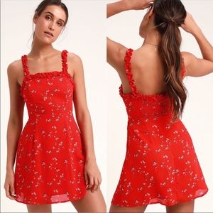 Lulu’s In The Garden Red Floral Skater Dress